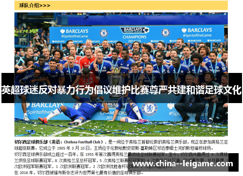 英超球迷反对暴力行为倡议维护比赛尊严共建和谐足球文化