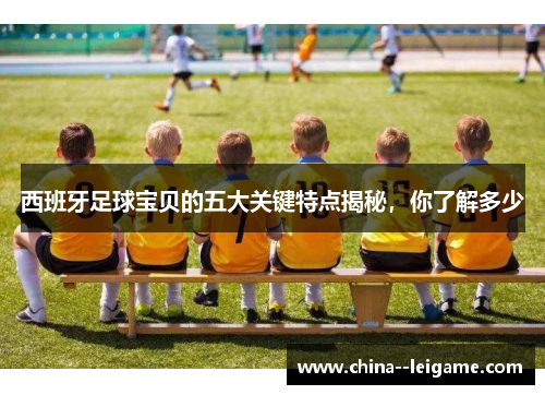 西班牙足球宝贝的五大关键特点揭秘,你了解多少 西班牙足球宝贝的五大关键特点揭秘,你了解多少