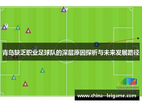 青岛缺乏职业足球队的深层原因探析与未来发展路径