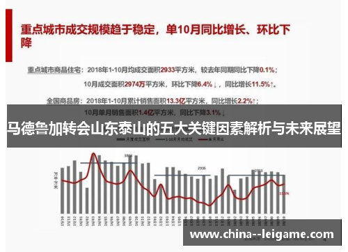 马德鲁加转会山东泰山的五大关键因素解析与未来展望