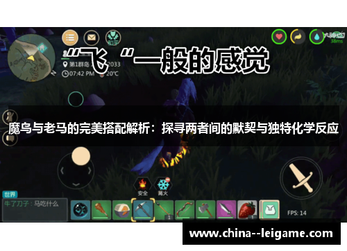 魔鸟与老马的完美搭配解析:探寻两者间的默契与独特化学反应 魔鸟与老马的完美搭配解析:探寻两者间的默契与独特化学反应