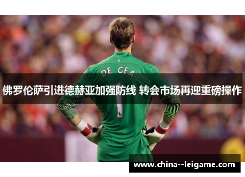 佛罗伦萨引进德赫亚加强防线 转会市场再迎重磅操作