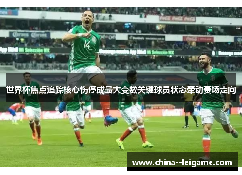 世界杯焦点追踪核心伤停成最大变数关键球员状态牵动赛场走向