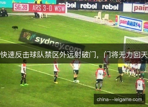 快速反击球队禁区外远射破门，门将无力回天